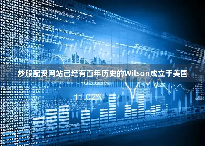 炒股配资网站已经有百年历史的Wilson成立于美国