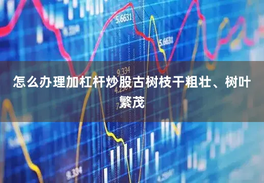 怎么办理加杠杆炒股古树枝干粗壮、树叶繁茂