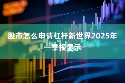 股市怎么申请杠杆新世界2025年一季报显示