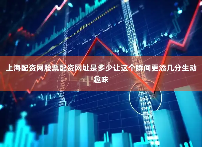 上海配资网股票配资网址是多少让这个瞬间更添几分生动趣味