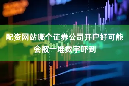 配资网站哪个证券公司开户好可能会被一堆数字吓到